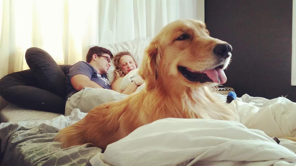Check out Mom and Dad in awe of baby Maverick while Dexter, their golden retriever, hangs out happily at the foot of the bed! Dogs are family too! At a homebirth all family members can be present.
