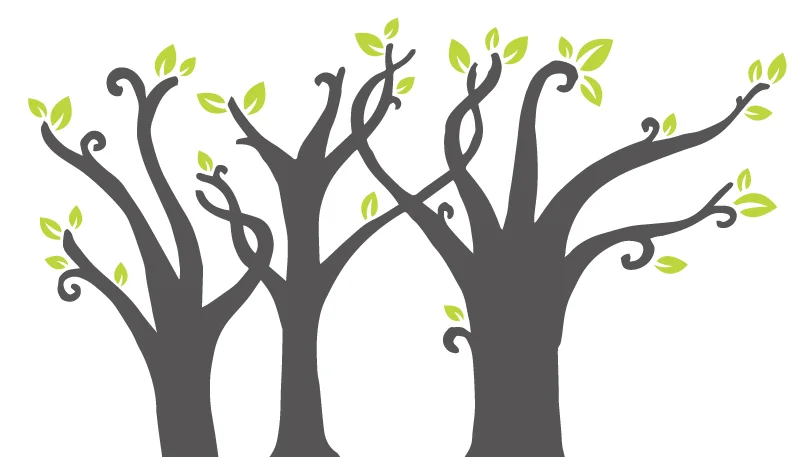 What's Next for the Community Roots Collective