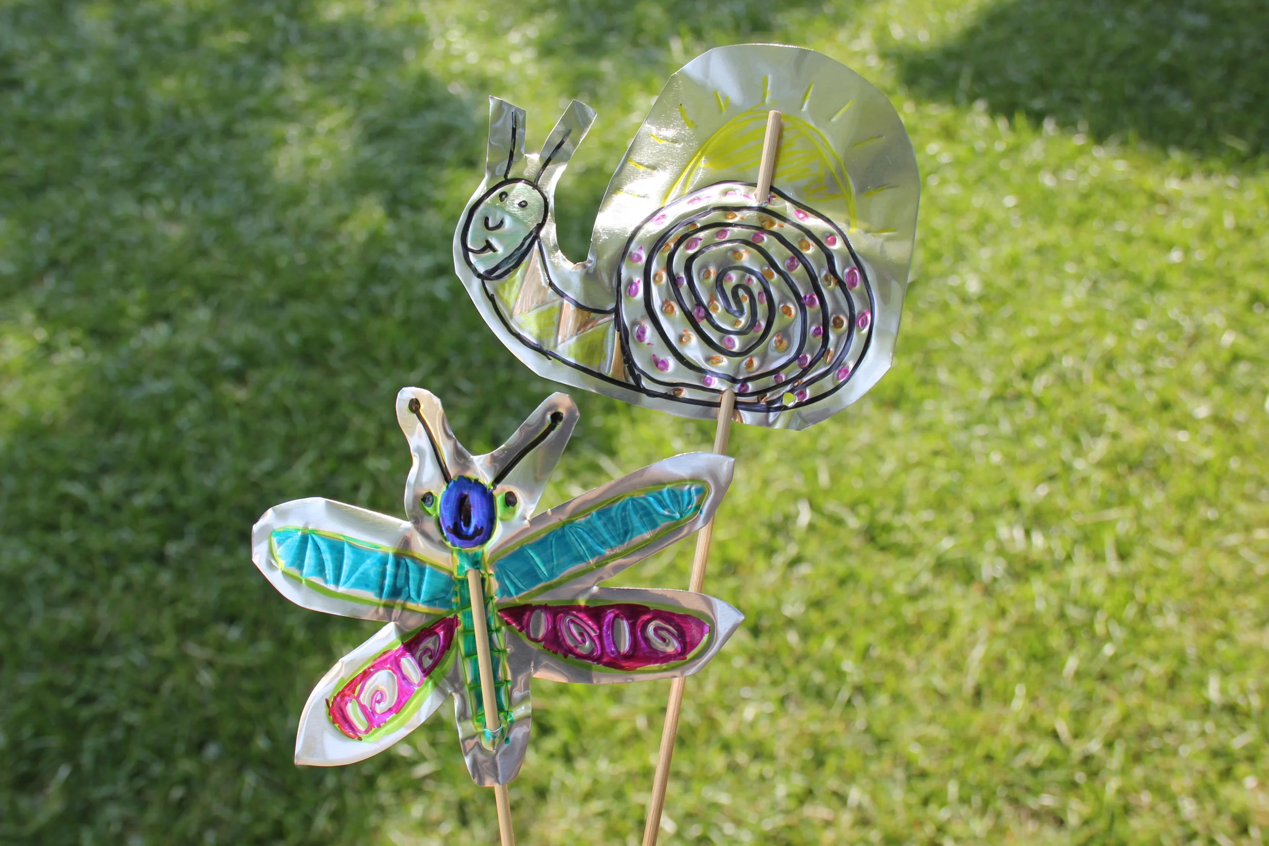 A dragonfly and snail out on a sunny day.