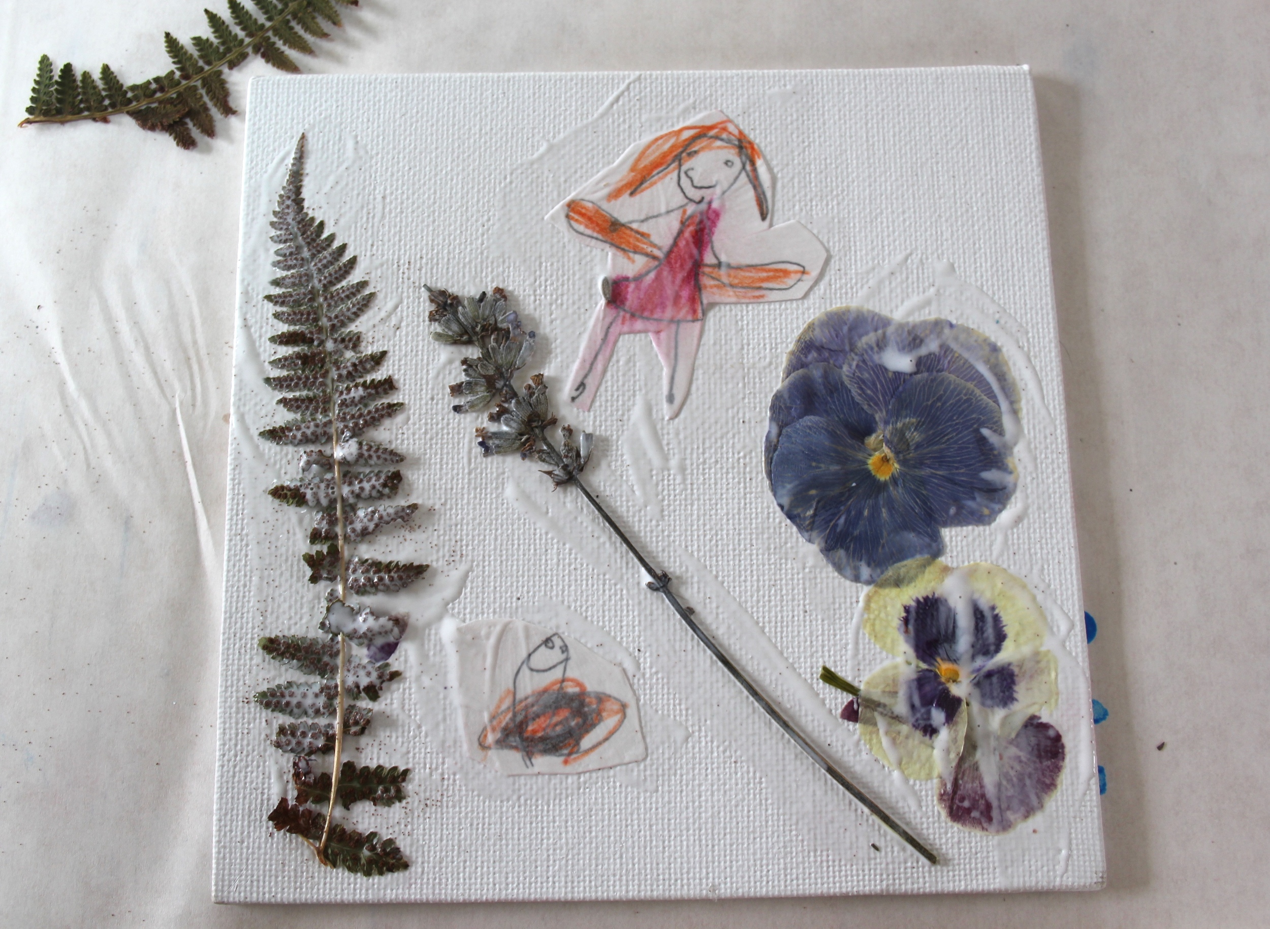 Fairy + snail + ferns 