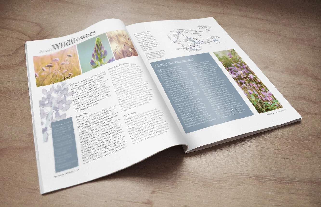 Magazine Mockup