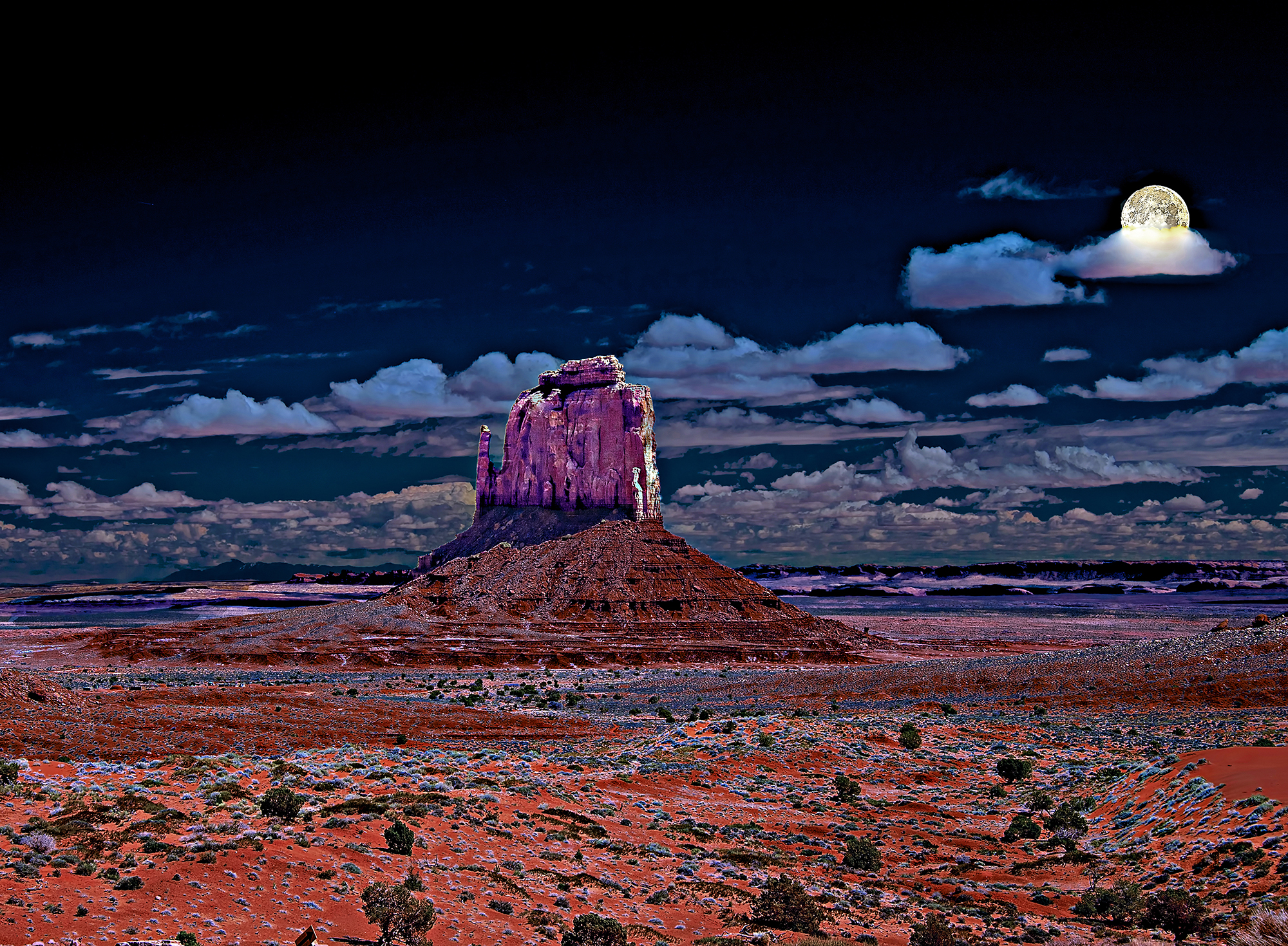 Moonlight Serenade in Arizona