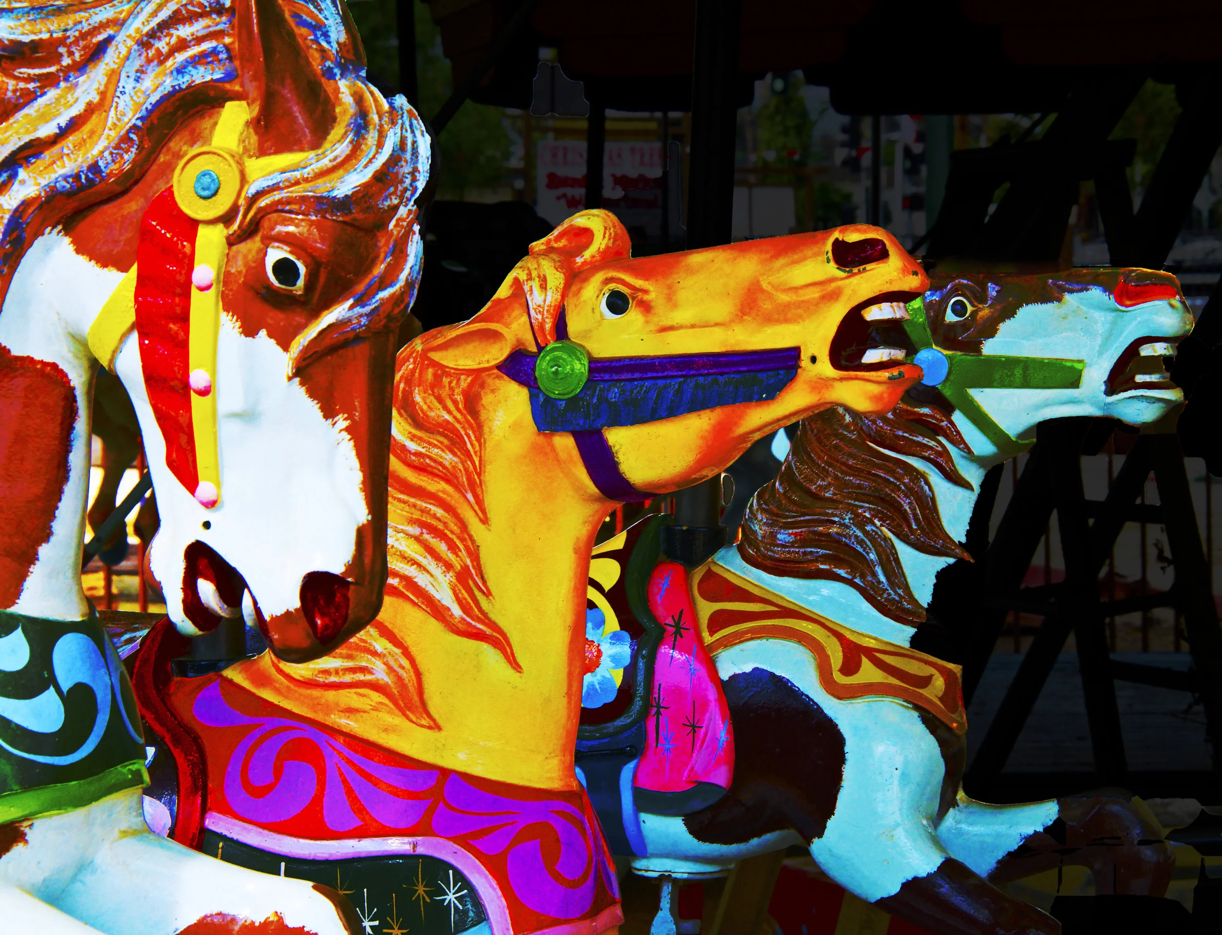 THE HOME STRETCH.jpg