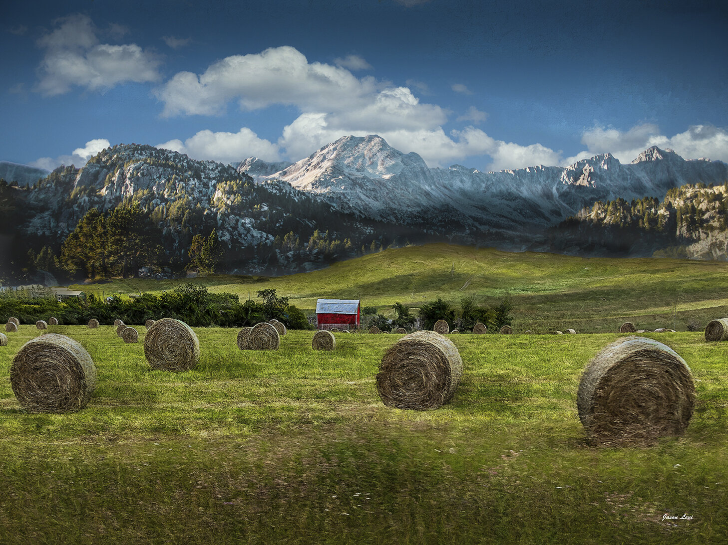 WINTER HAY