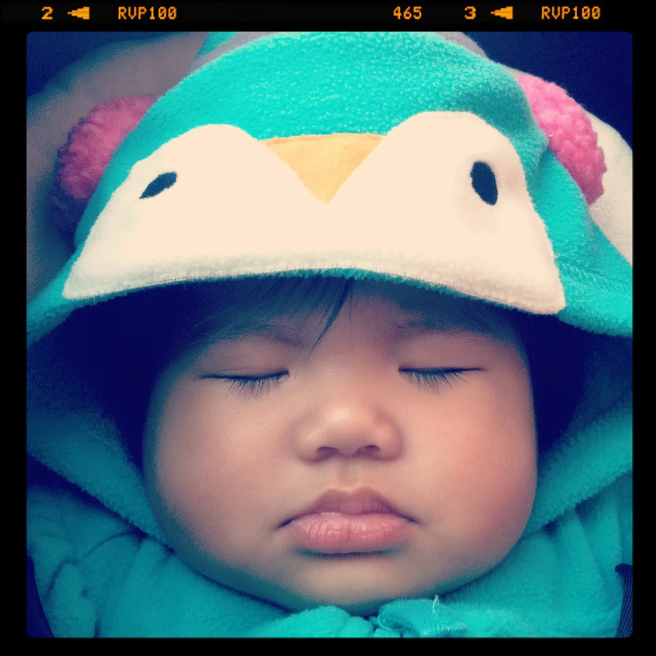 (Sleeping) Angry Bird
