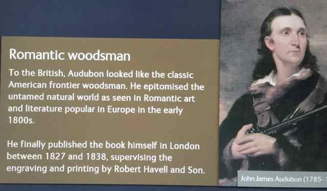 Audubon