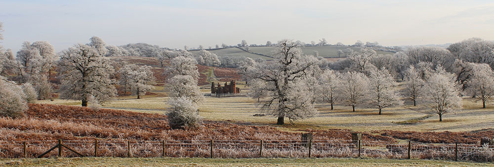 FawsleyWinter01.jpg