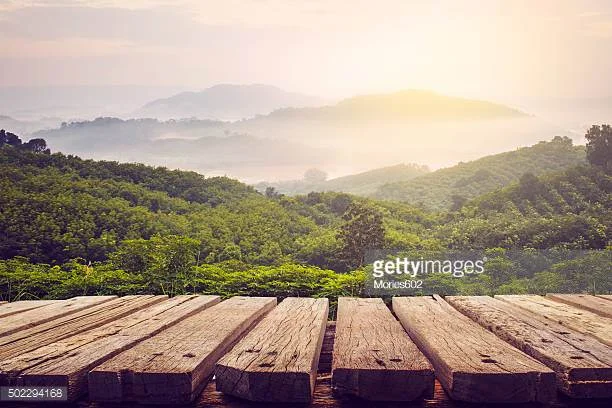 I Want To Reduce My Carotid Intima-Medial Thickness (and turn on some zen)