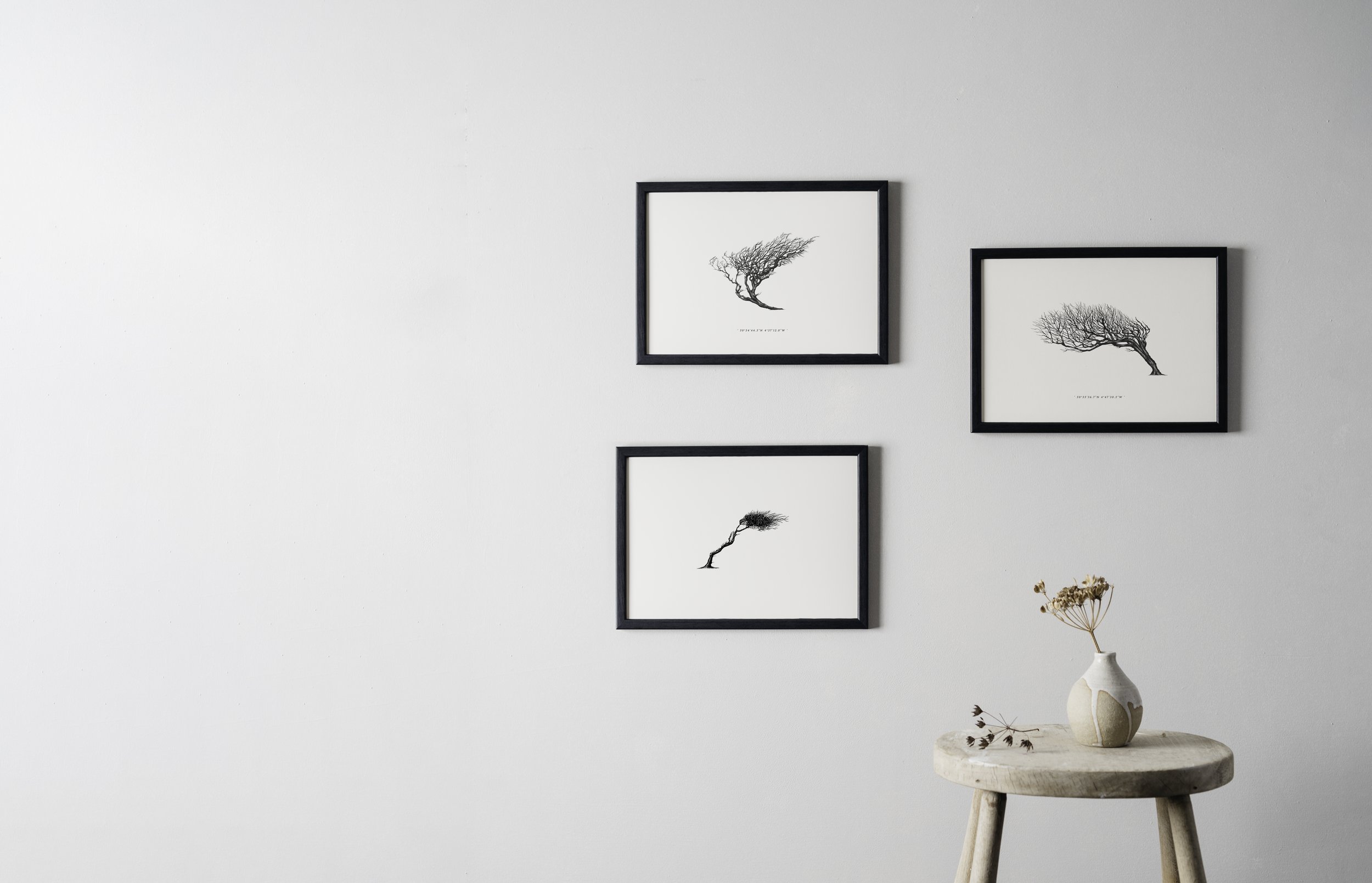 Wall_Print_Comp_Alex tor.jpg