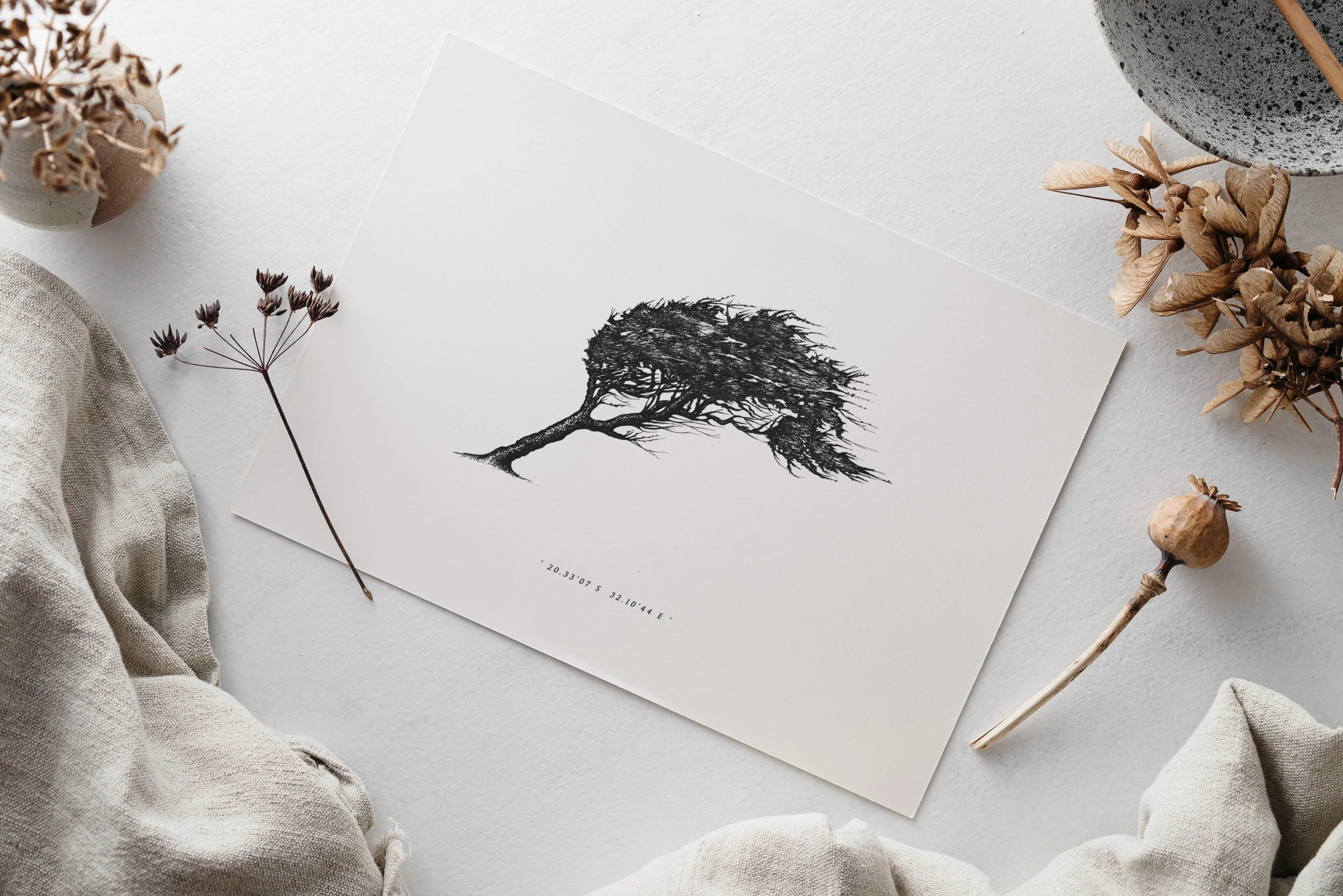 ©nicoleheidaripour_web2019_pencarrow_above.jpg