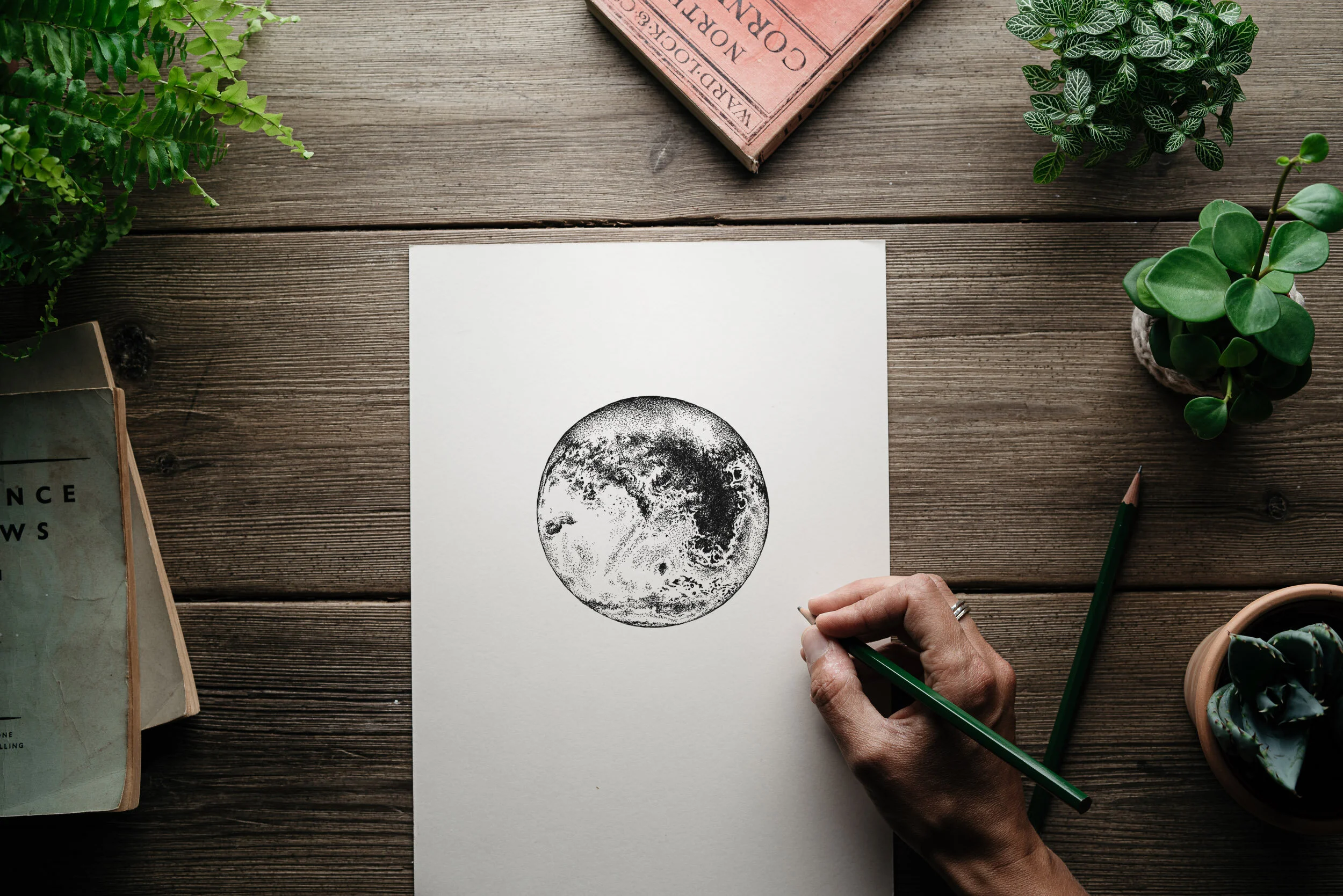 ©nicoleheidaripour_web2019_mars_above.jpg
