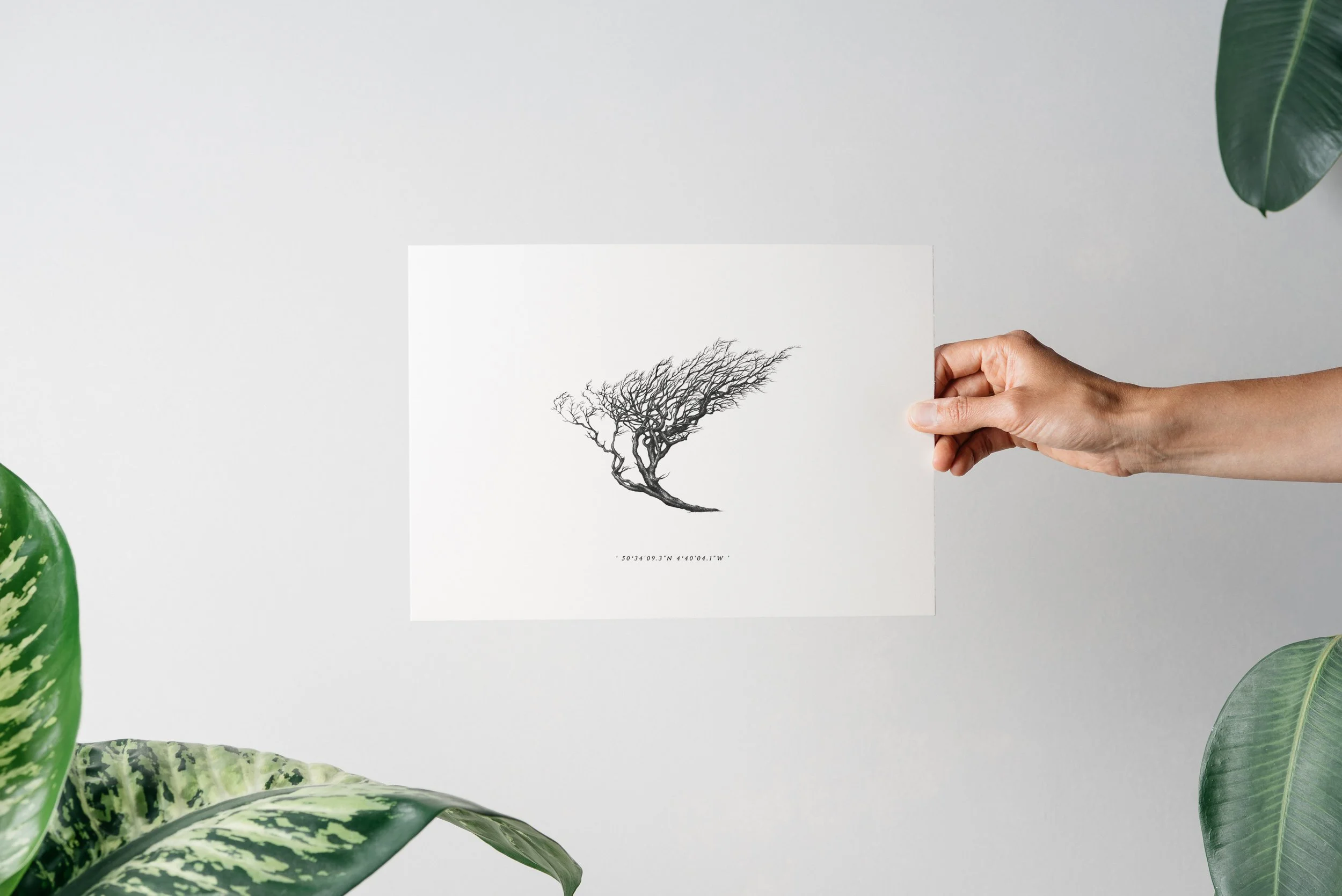 ©nicoleheidaripour_Alex tor.jpg