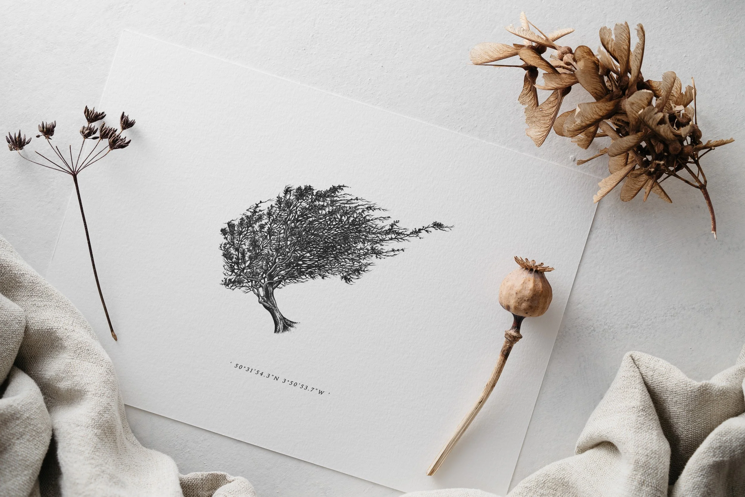 ©nicoleheidaripour_web2019_Bench Tor_Dartmoor.jpg