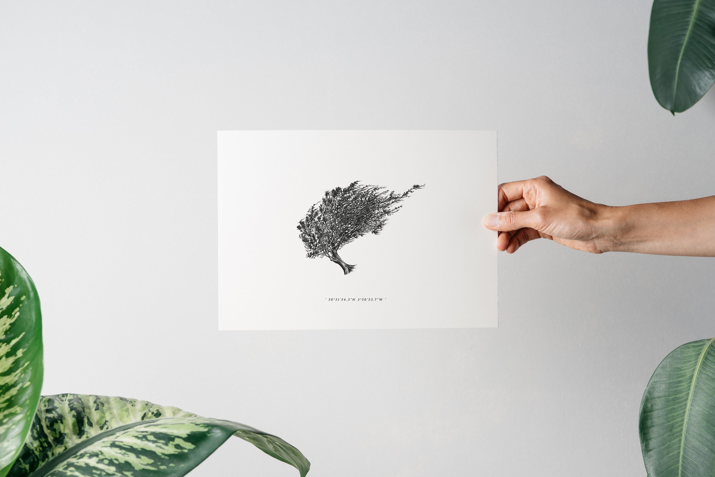 ©nicoleheidaripour_Bench tor.jpg