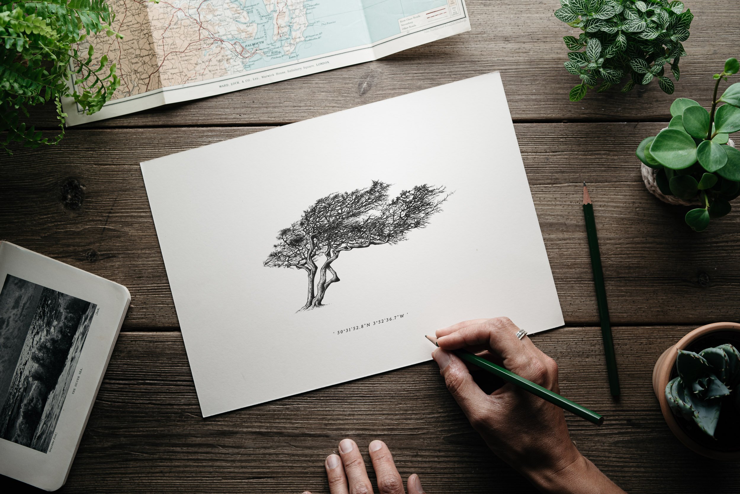 ©nicoleheidaripour_Dartmoor-combstone tor.jpg