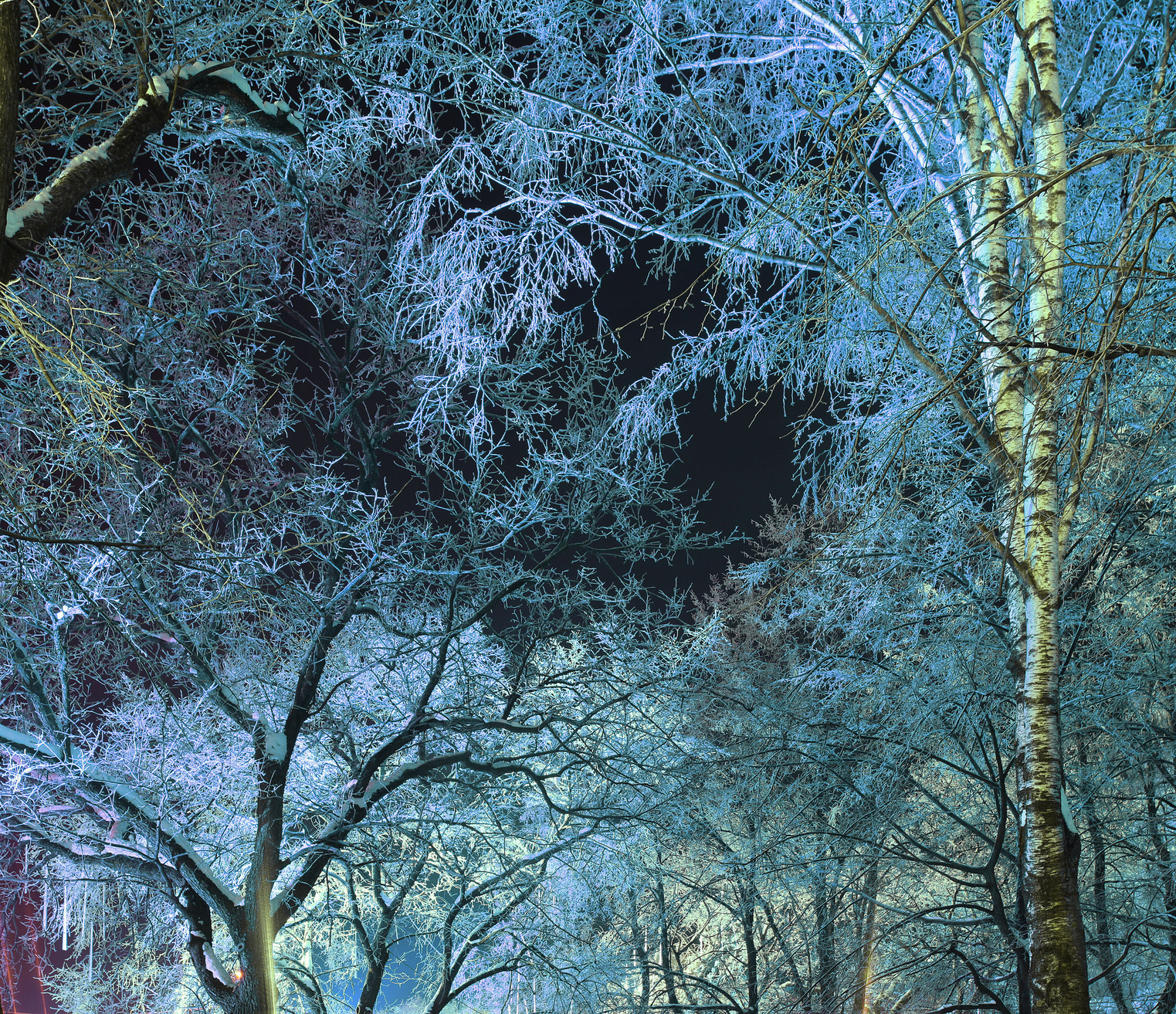 The Long Winter Night depositphotos.com