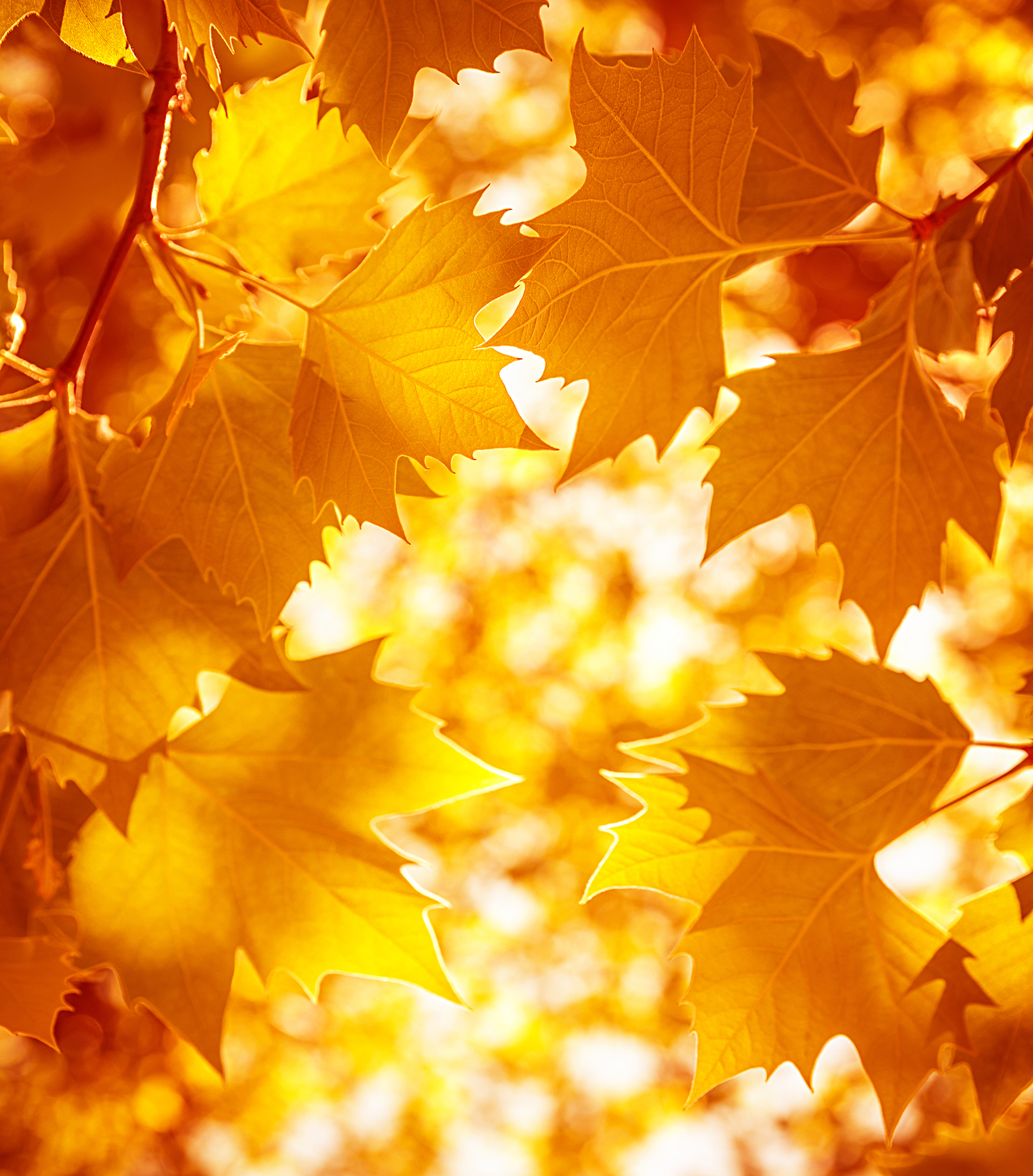 Creative Light is Never Hidden