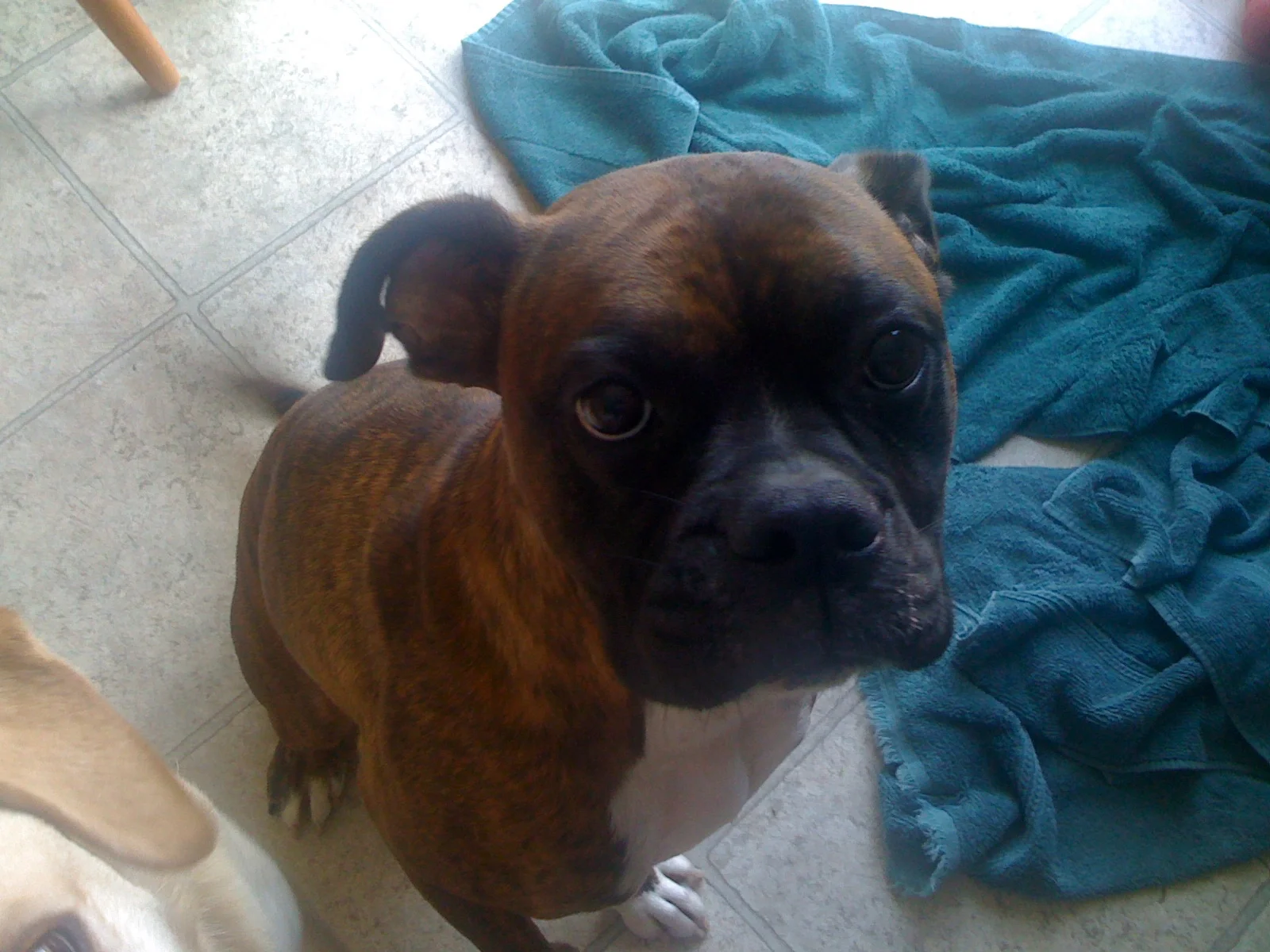 Can I have a biscuit?