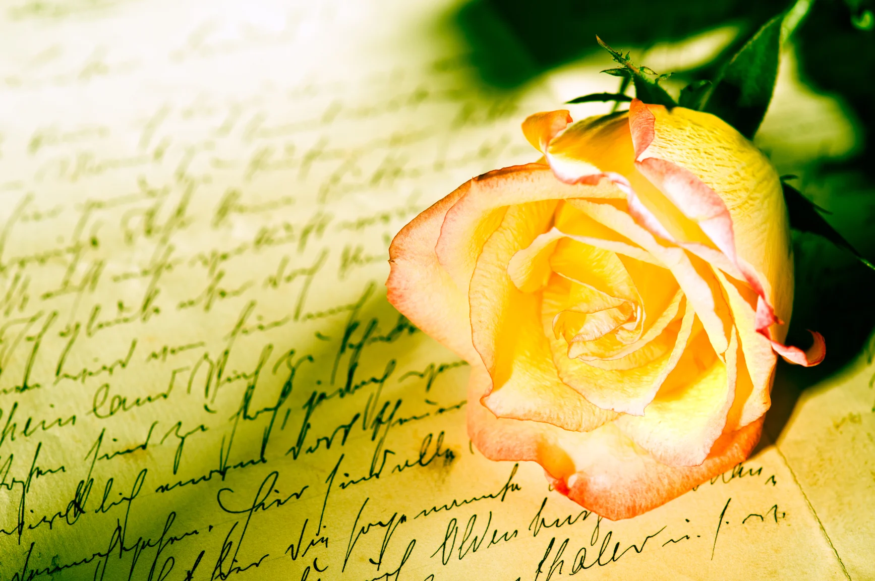 A rose by any other name...
