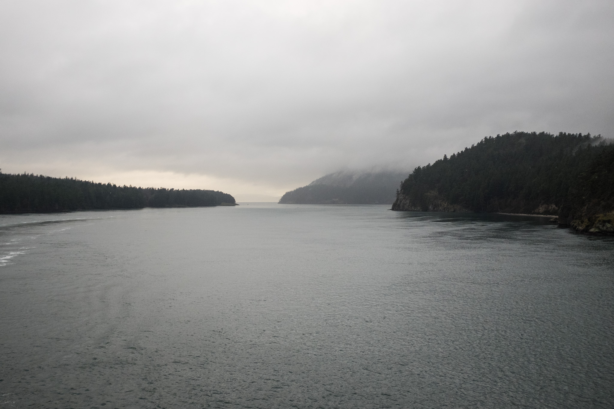 Dalix Vancouver - 06.01.2018-14.jpg