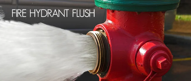 FireHydrantFlush.jpg