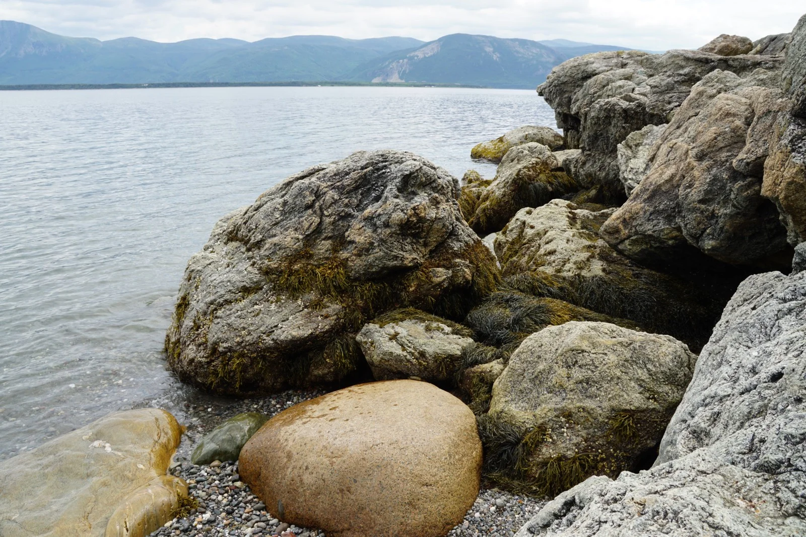 #7 Rocky Shore