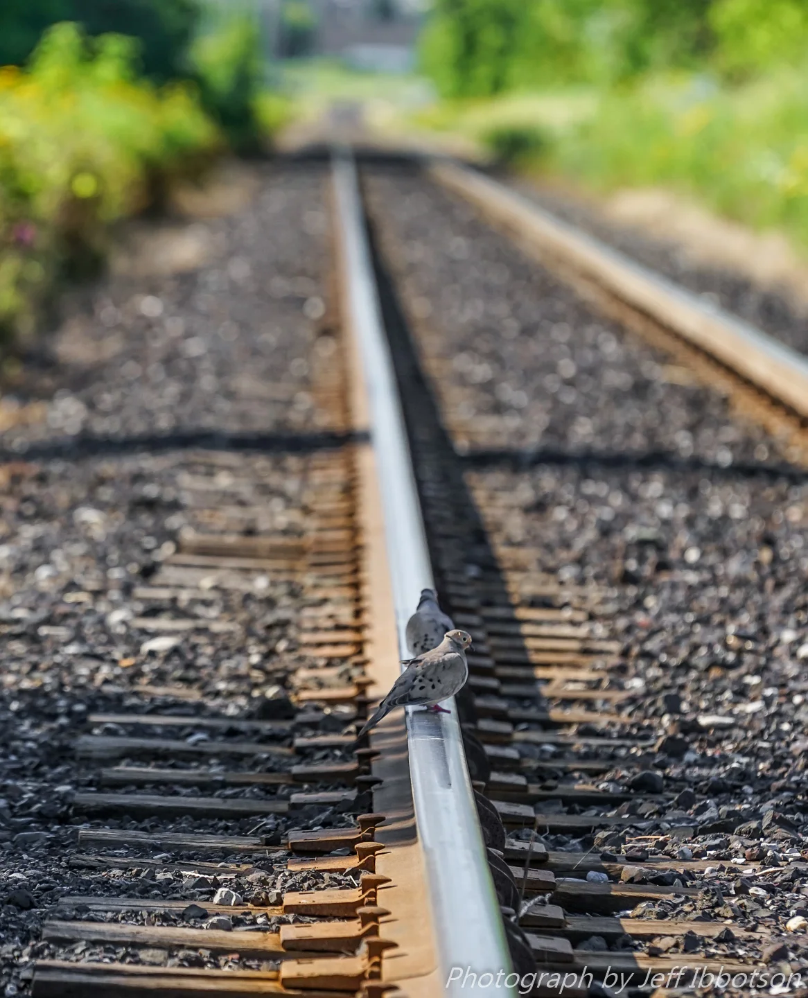 Flyin' Off The Rails