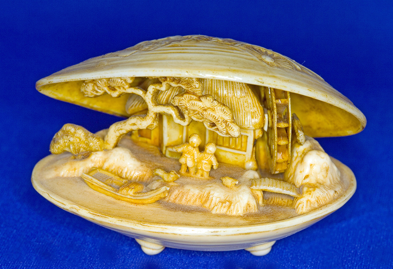Inside the Clamshell