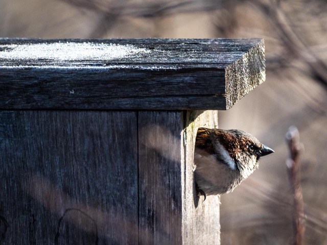Is It Spring Yet?