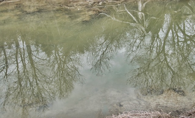 Reflections