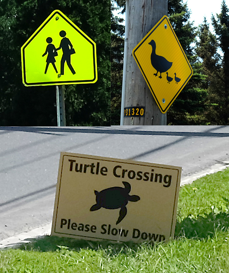 Multi-Species Crossing