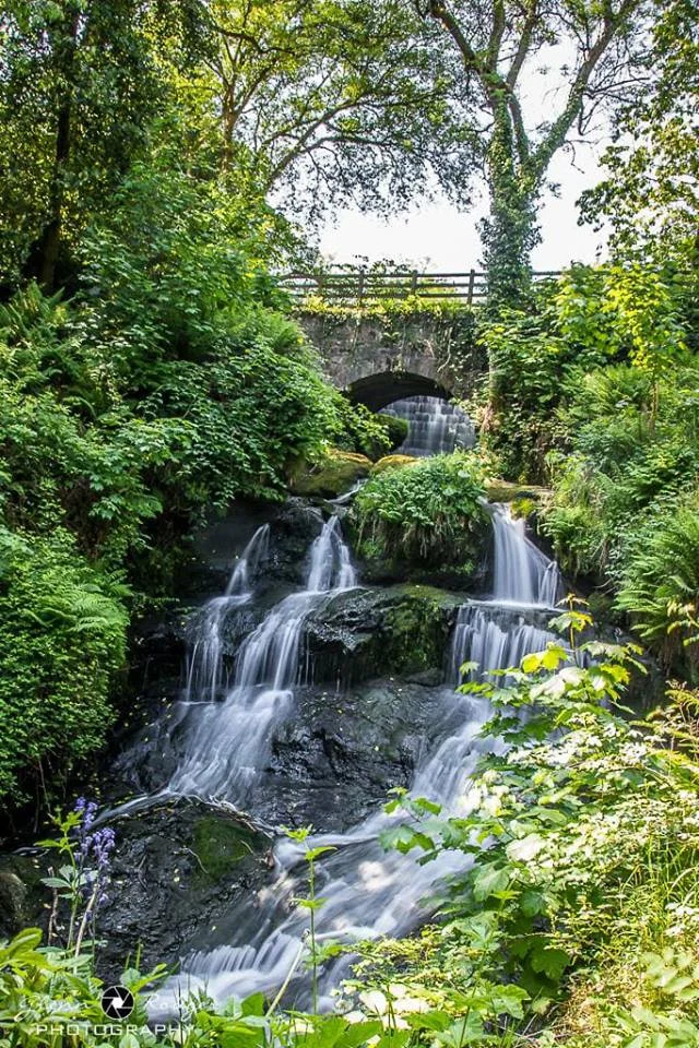 Rouke Glen Falls