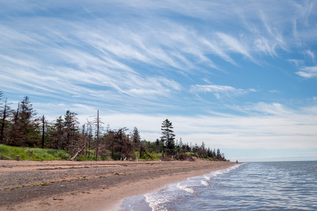 Endless Beaches