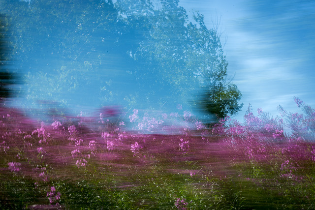 Magic in the Motion