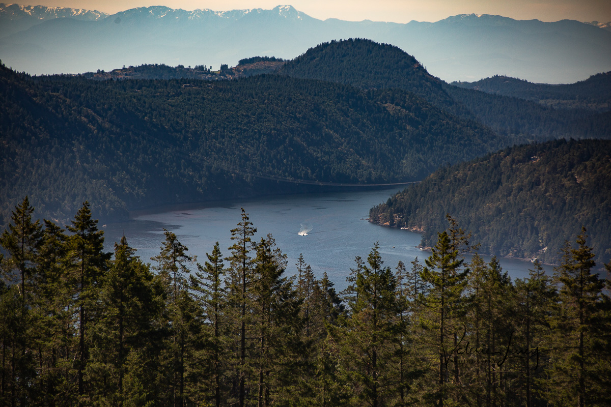 View from the Malahat