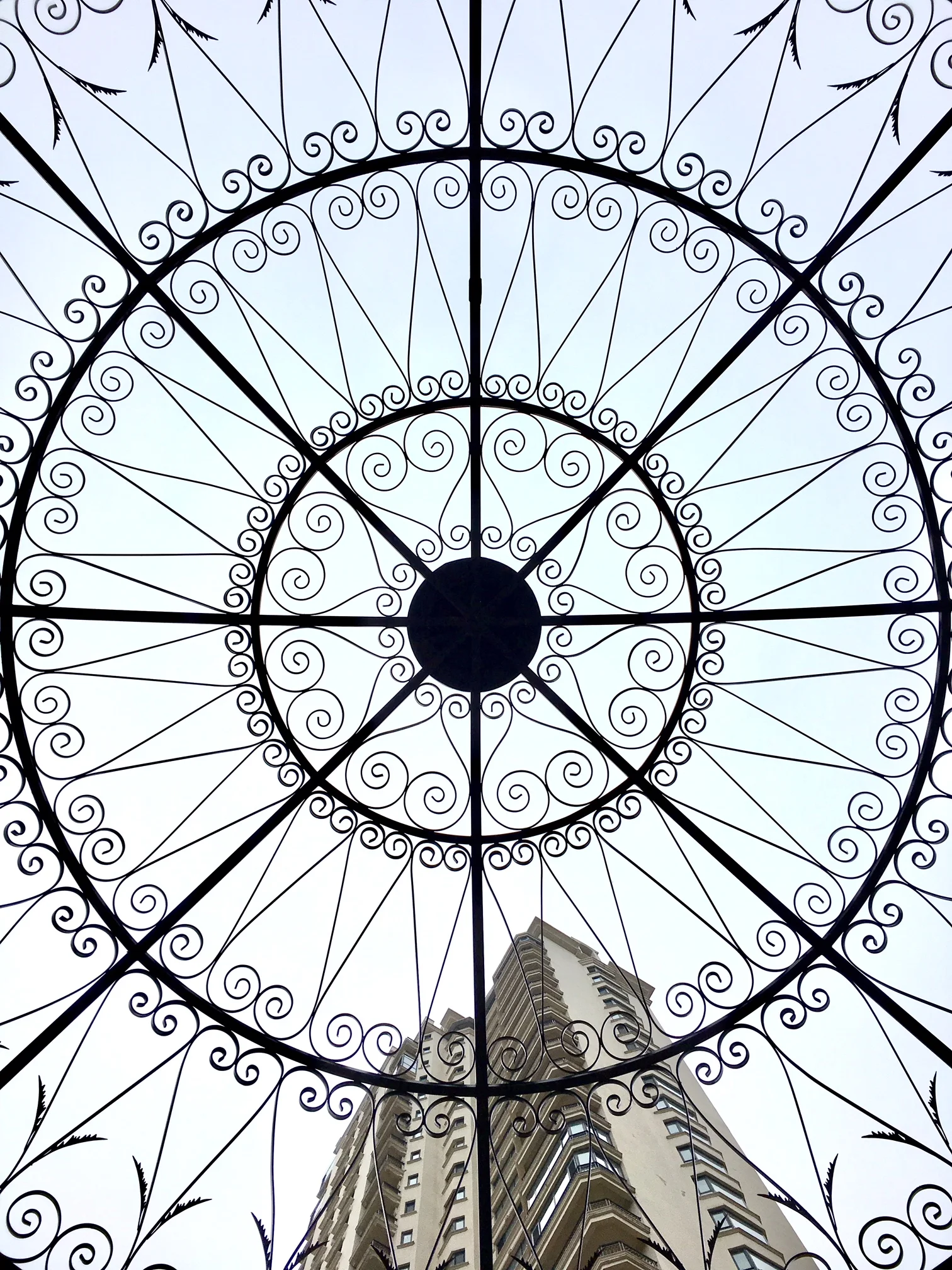 Vertical View