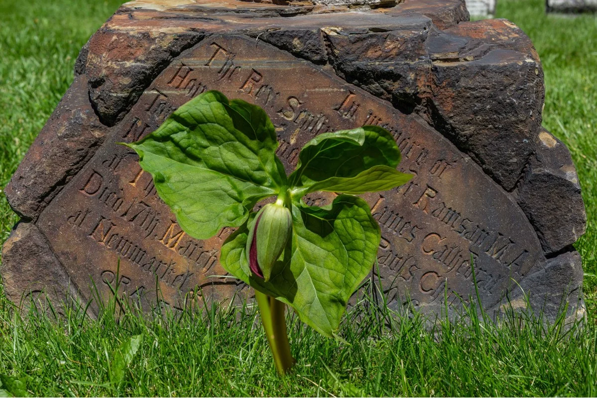 Life After Death