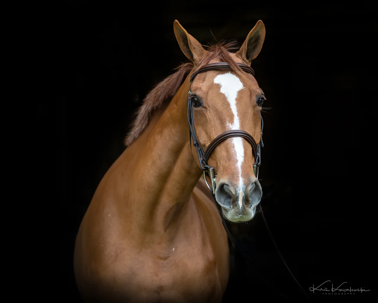 Horsin' Around