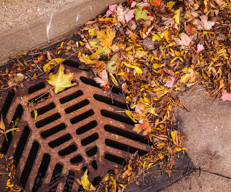 Down the Drain