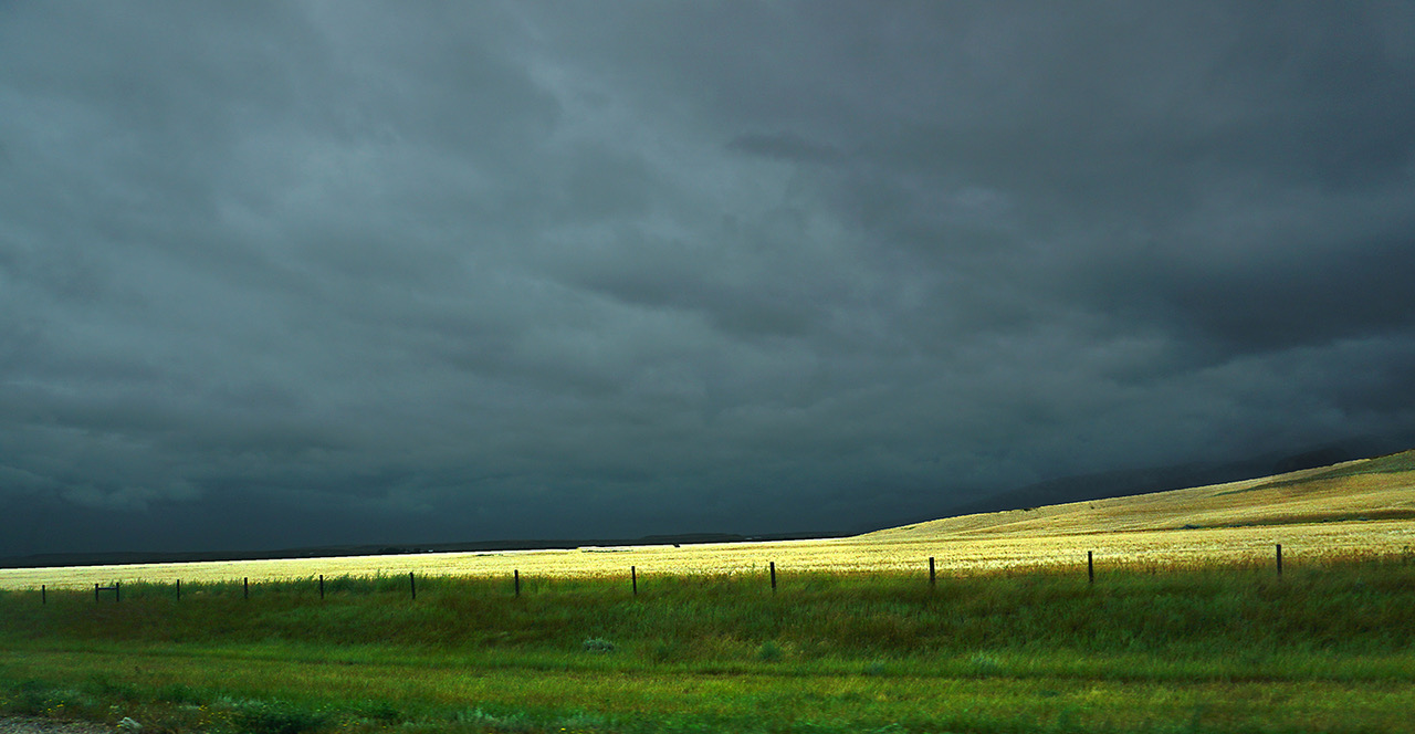Prairie