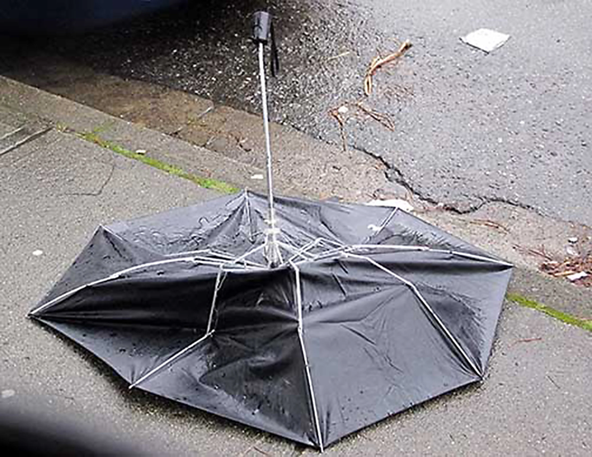 Umbrella
