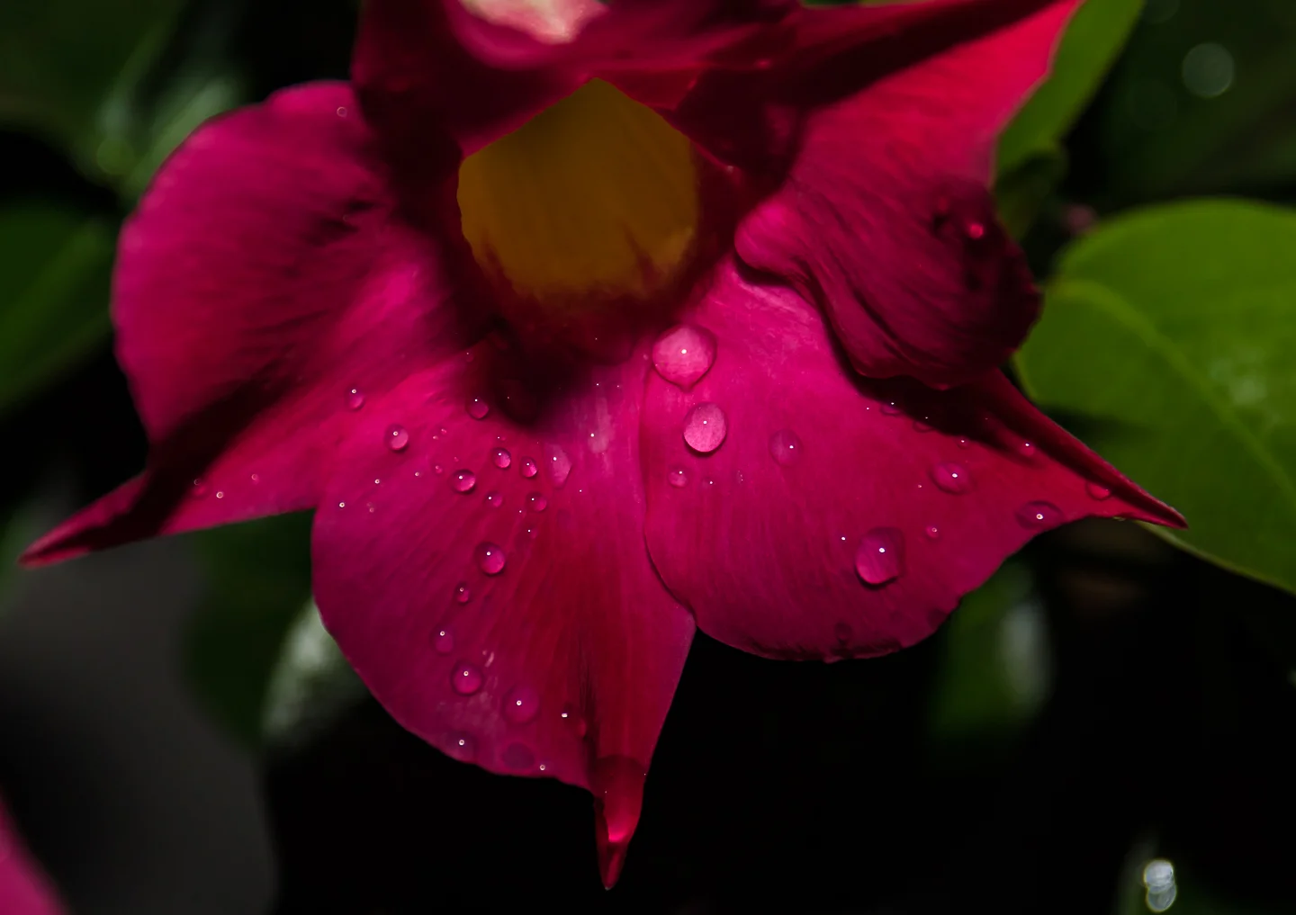 Droplets