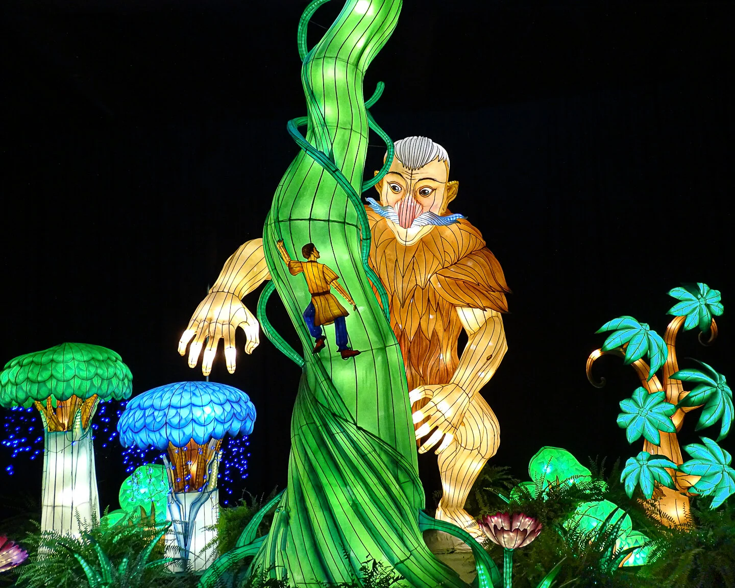Jack and the Beanstalk