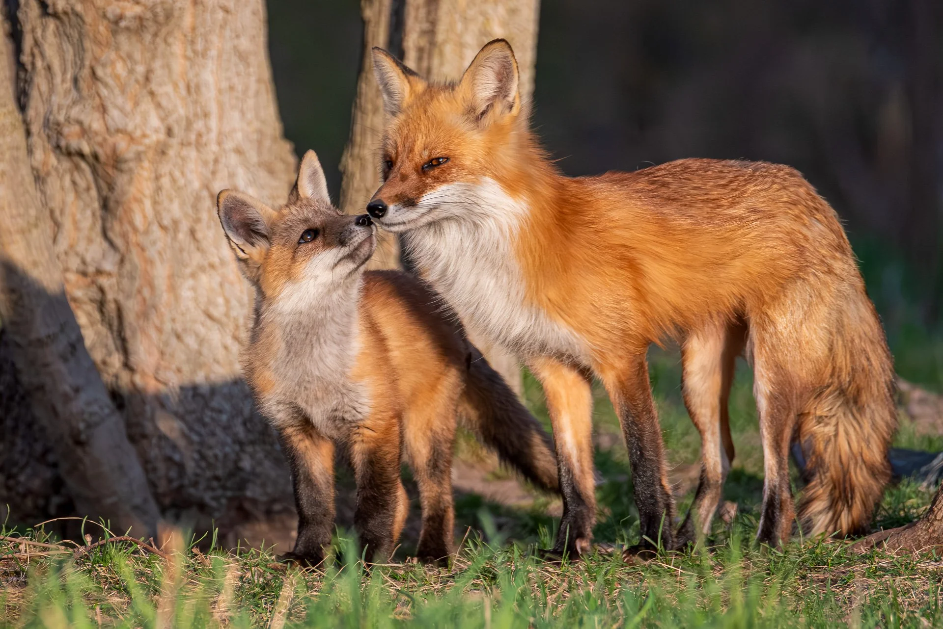 Favourite from 2025 - Kathy MacFarlane-.jpg