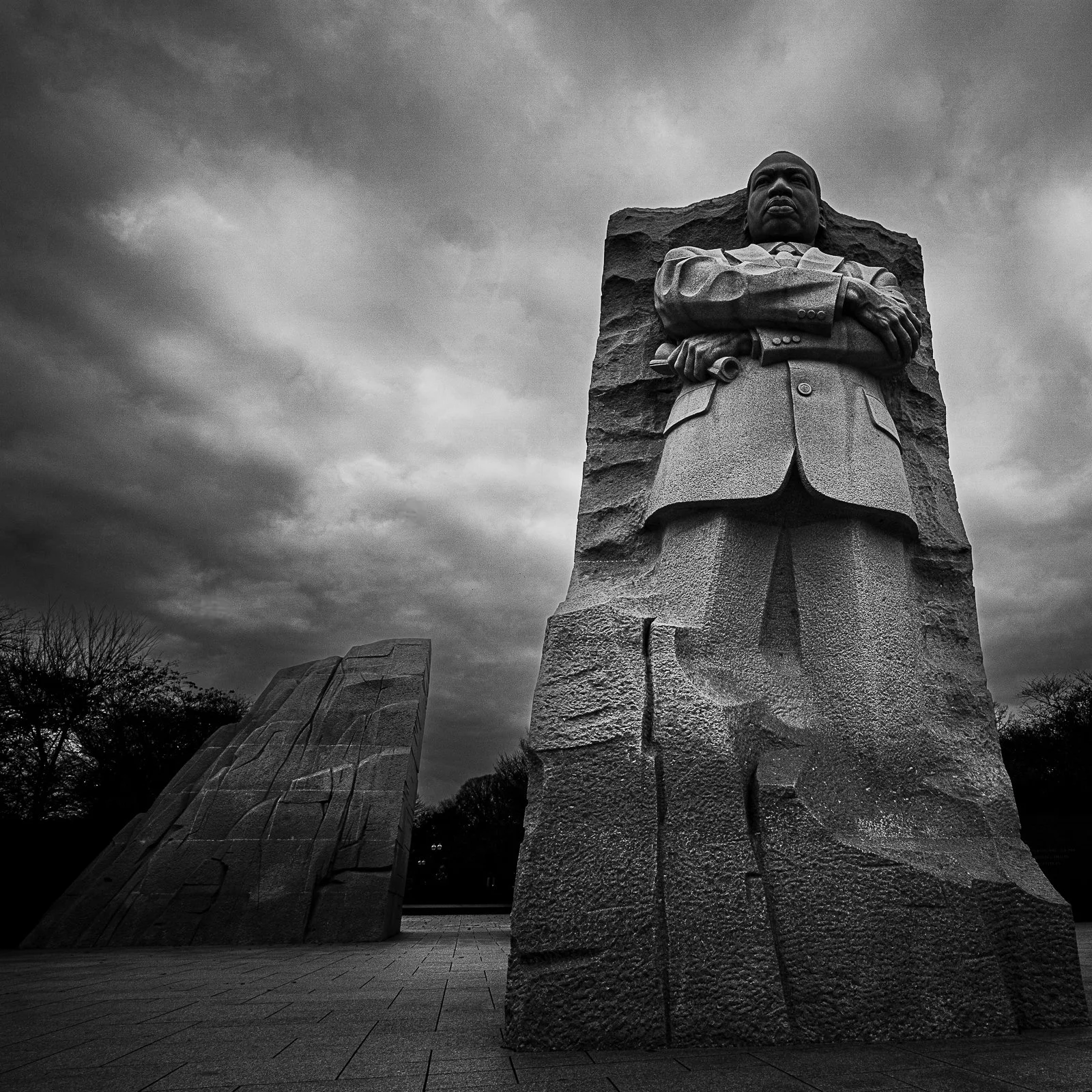 Simon Williams - Wide Up Close .jpg