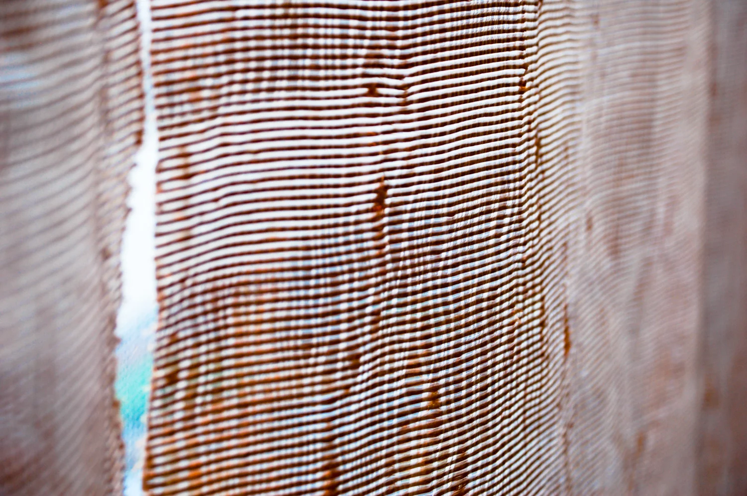 DSC_0159.jpg