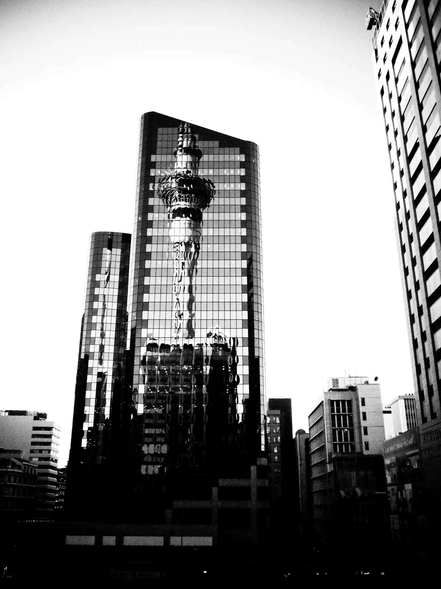 P6261243.jpg