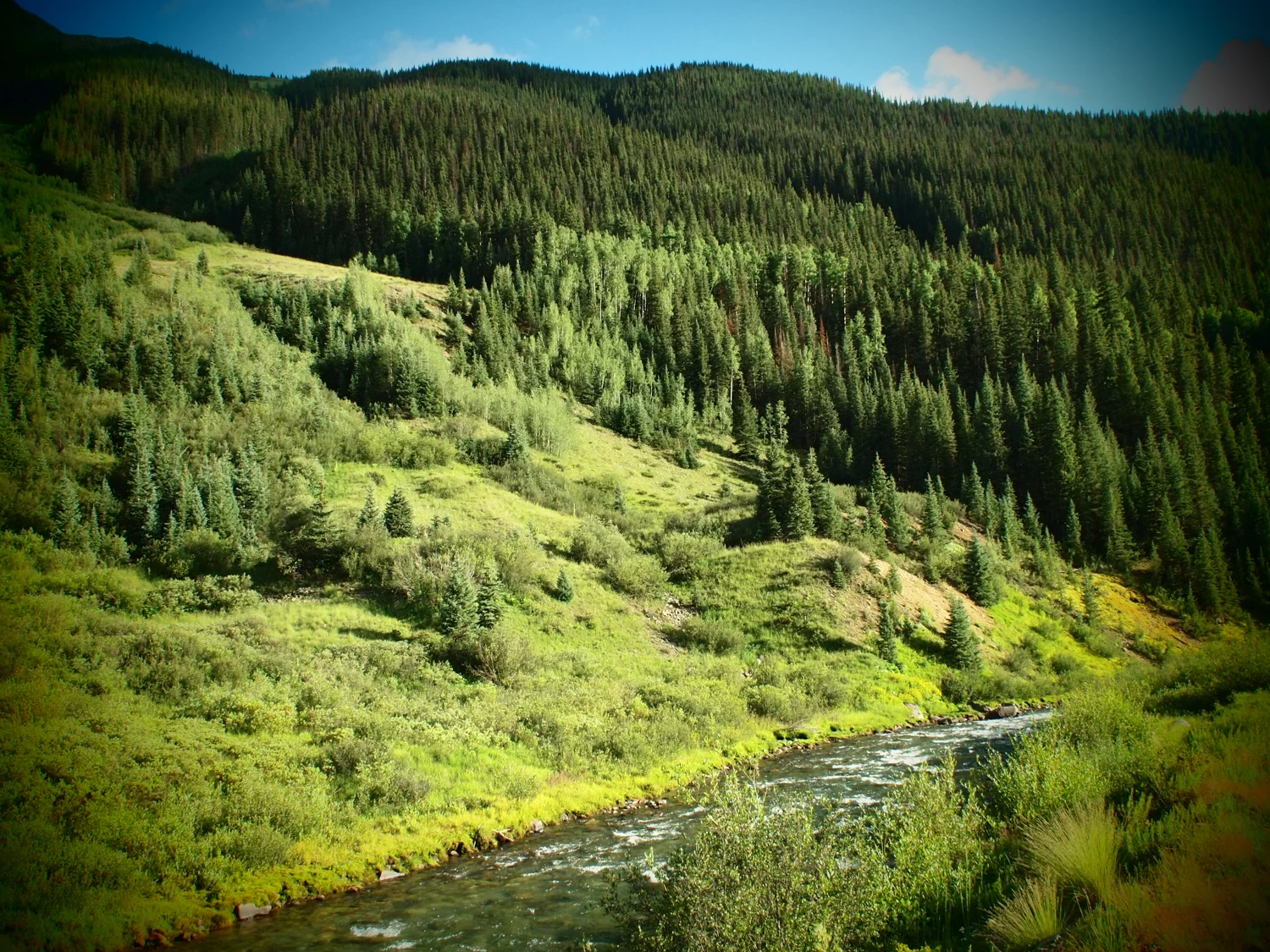 P7310144.jpg