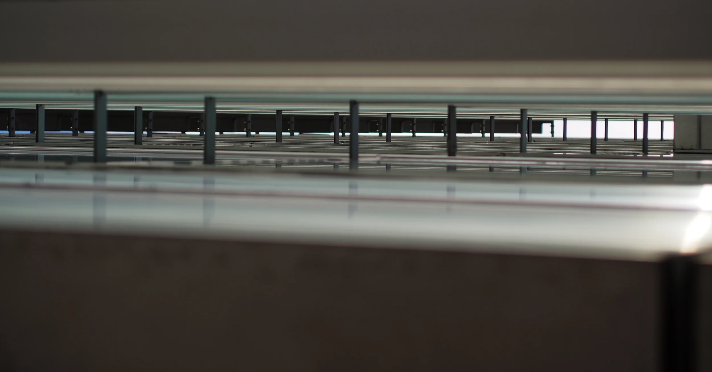 20111231-P1010426.jpg