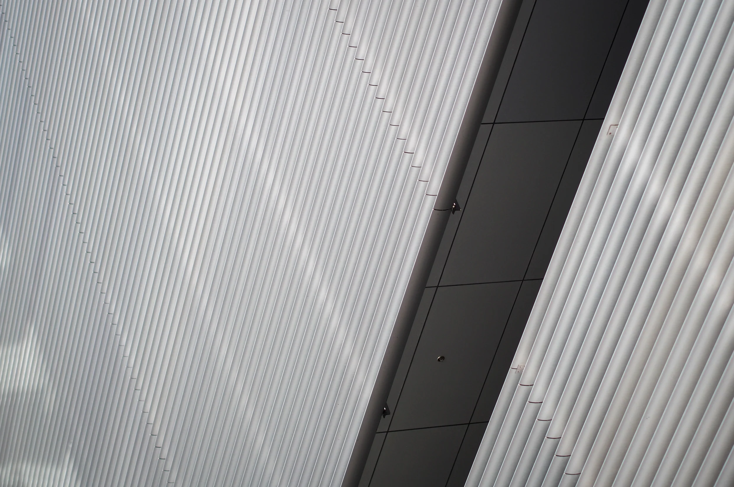 20111231-P1010401.jpg